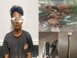 Satu Dari Tiga Pelaku Pencurian Buah Sawit Dengan Kekerasan Di Ringkus Oleh Karyawan PT MBI Di Serahkan Ke Polres Muba