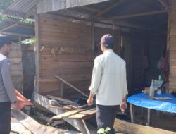 Gajah Liar Rusak Rumah dan Kebun Milik Warga di Kecamatan Pintu Rime Gayo