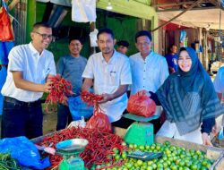 Plh Sekda Bersama TPID Sidak Pasar Beureunuen