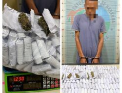 Sat Resnarkoba Polres Pidie Jaya Ungkap 195 Paket Ganja, Tegaskan Komitmen Berantas Narkotika