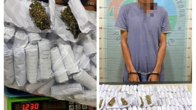 Sat Resnarkoba Polres Pidie Jaya Ungkap 195 Paket Ganja, Tegaskan Komitmen Berantas Narkotika